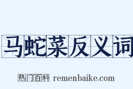 马蛇菜反义词是什么意思的图片